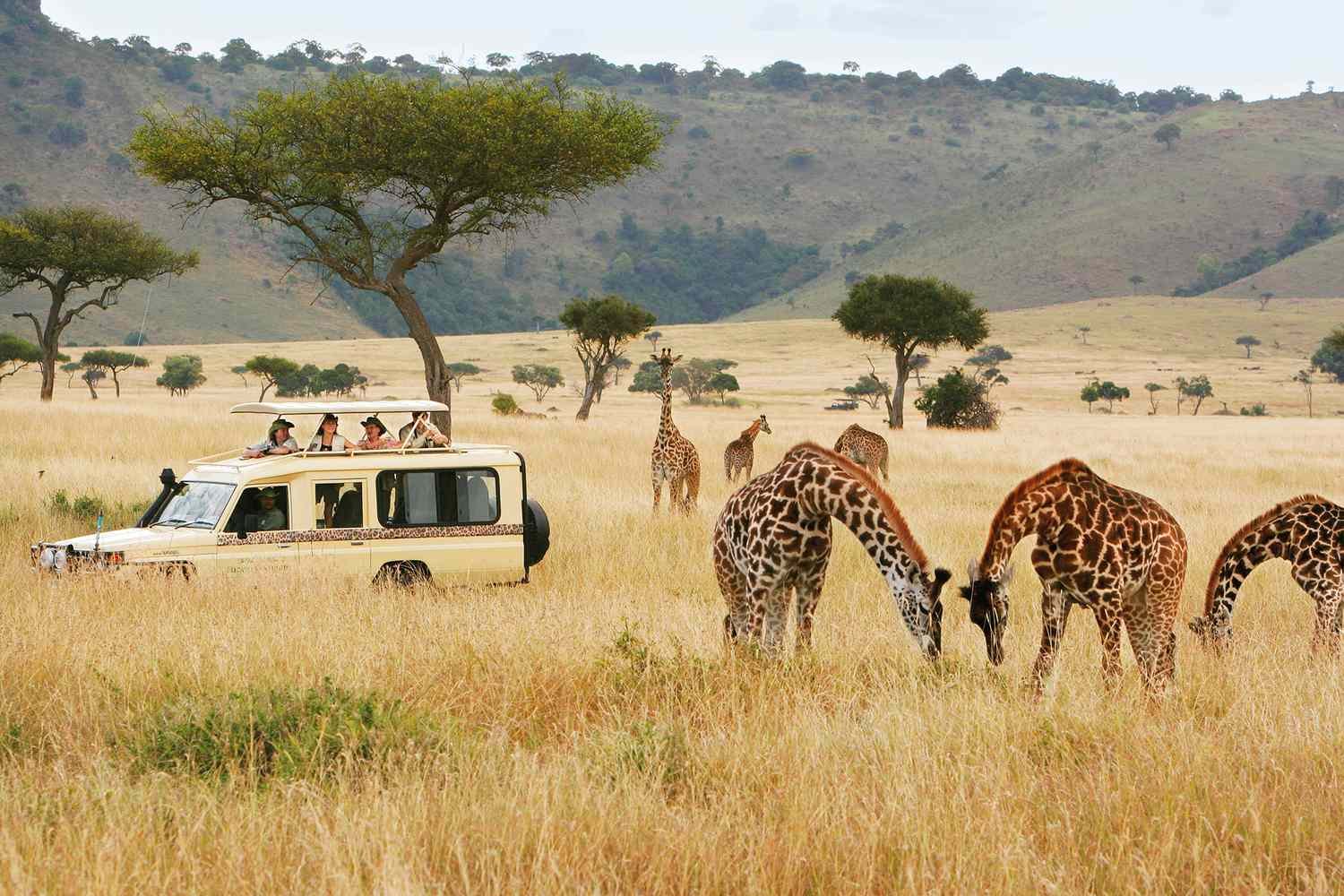 Mombasa Experience